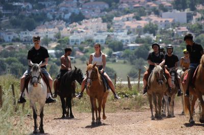 Horse Riding (Forest) - 2