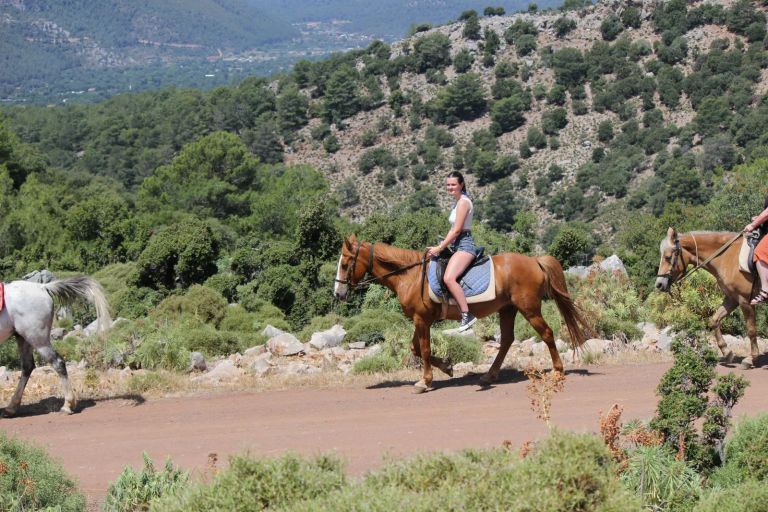 Horse Riding (Forest)