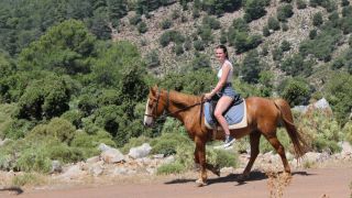 Horse Riding (Forest)